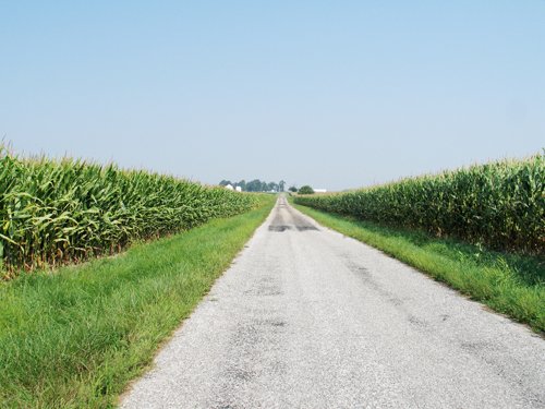 Property photo 9 - 192.5+/- Acres Offered in 3 Tracts